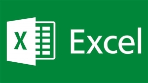 Excel