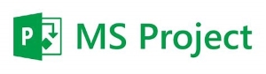 MS Project